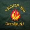 Troop 390 Class B T-Shirt